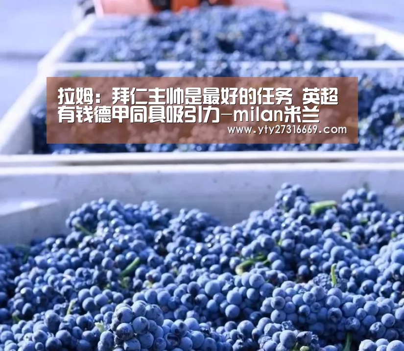 拉姆:拜仁主帅是最好的任务 英超有钱德甲同具吸引力-milan米兰(图1) milan米兰