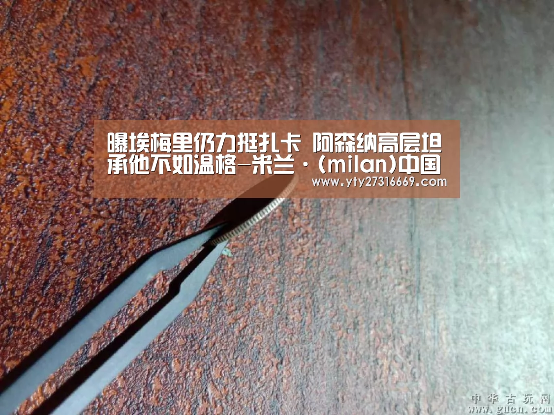 曝埃梅里仍力挺扎卡 阿森纳高层坦承他不如温格-米兰·(milan)中国官网(图1) milan米兰