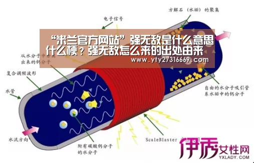 米兰官方网站