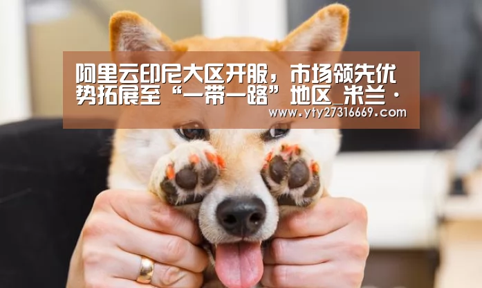阿里云印尼大区开服,市场领先优势拓展至“一带一路”地区_米兰·(milan)中国官网(图1) 米兰·(milan)中国官网