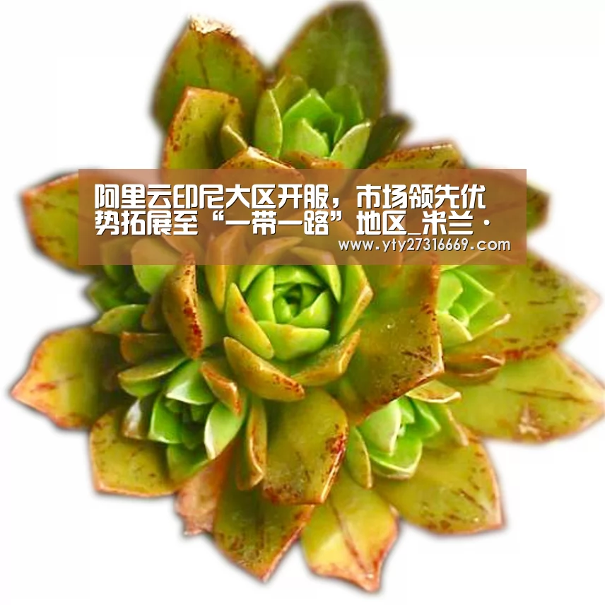 阿里云印尼大区开服,市场领先优势拓展至“一带一路”地区_米兰·(milan)中国官网(图2) 米兰·(milan)中国官网