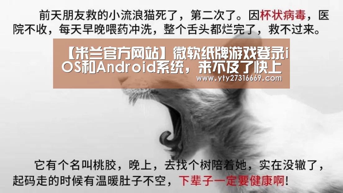 【米兰官方网站】微软纸牌游戏登录iOS和Android系统,来不及了快上车吧!(内附下载地址)(图3) 米兰官方网站