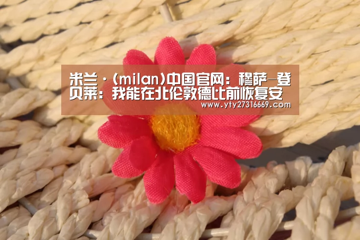 米兰·(milan)中国官网:穆萨-登贝莱:我能在北伦敦德比前恢复安康(图3) milan米兰