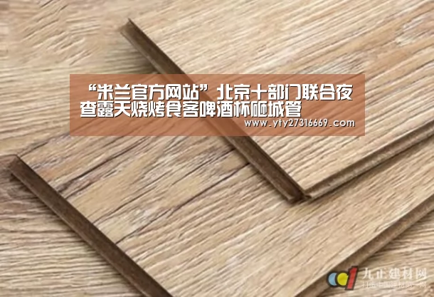 “米兰官方网站”北京十部门联合夜查露天烧烤食客啤酒杯砸城管(图1) milan米兰