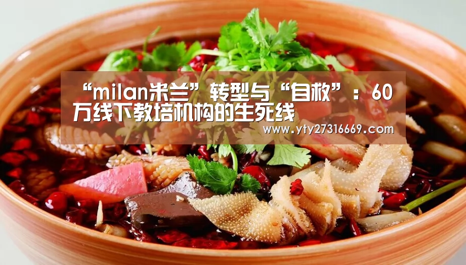 “milan米兰”转型与“自救”:60万线下教培机构的生死线(图2) 米兰·(milan)中国官网