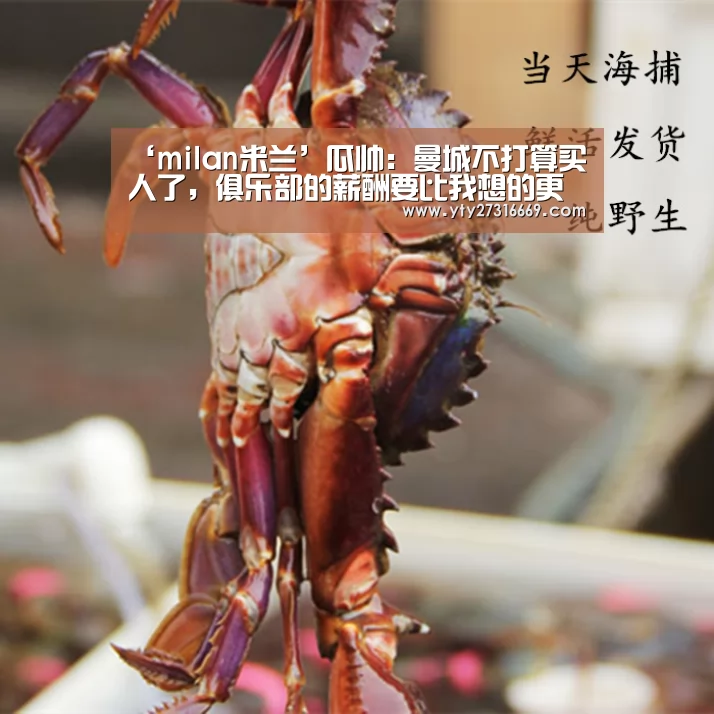 ‘milan米兰’瓜帅:曼城不打算买人了,俱乐部的薪酬要比我想的更高(图1) 米兰·(milan)中国官网
