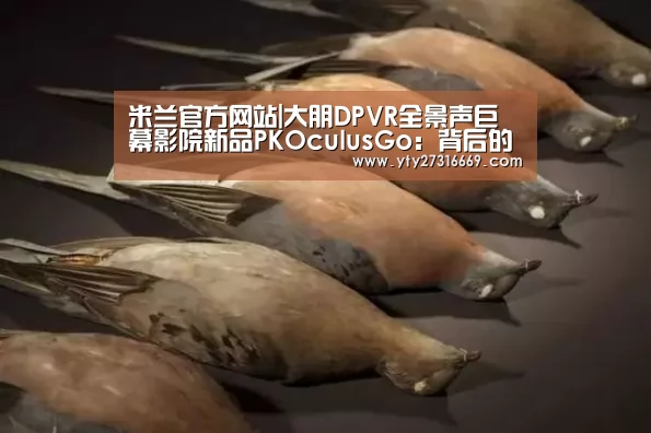 米兰官方网站|大朋DPVR全景声巨幕影院新品PKOculusGo:背后的战力是?(图1) milan米兰